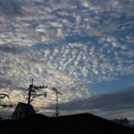 自然光をよく見て撮影しよう